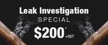 Leak Investigation Discount Torbay